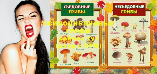 гидропоника Алексеевка