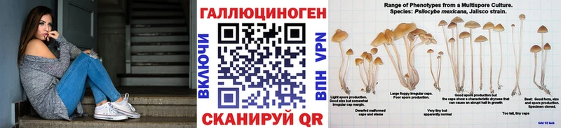 Псилоцибиновые грибы Cubensis Североморск